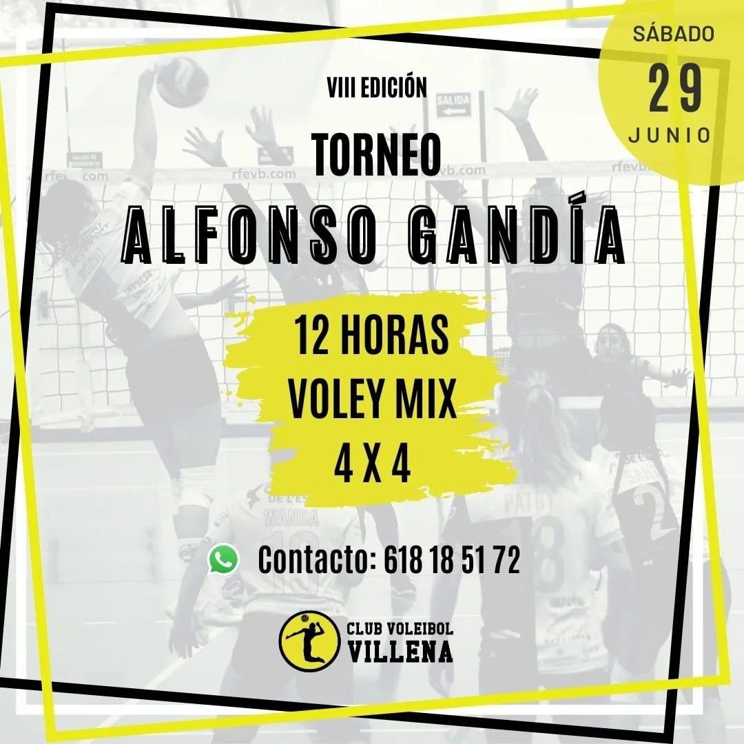 Torneo Voleibol
