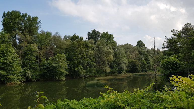 Vista de El Patatal desde el área donde se ubicará la pasarela