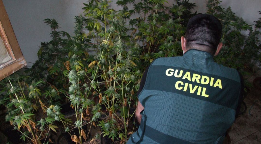 Agente de la Guardia Civil en la vivienda de Alcaudete.