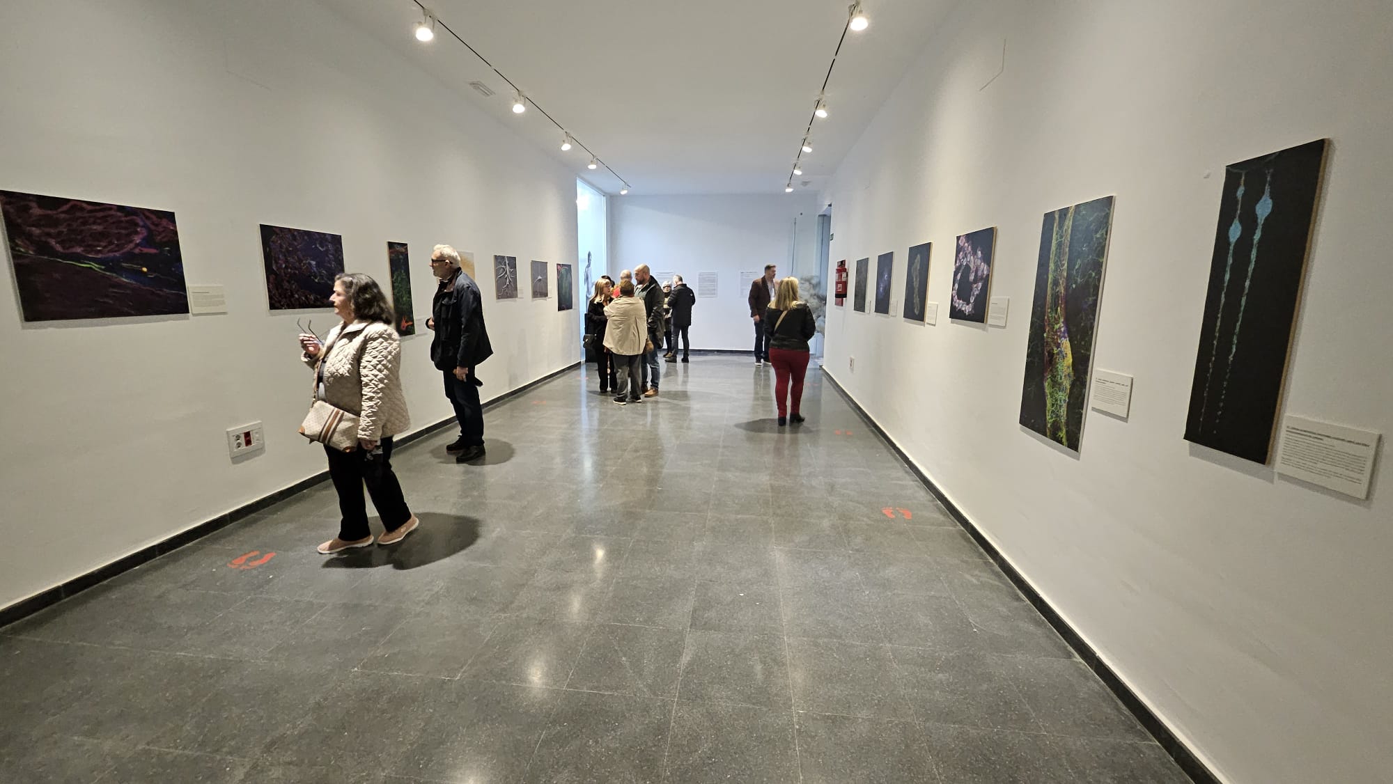 Vista general de la exposición 'Medularte'