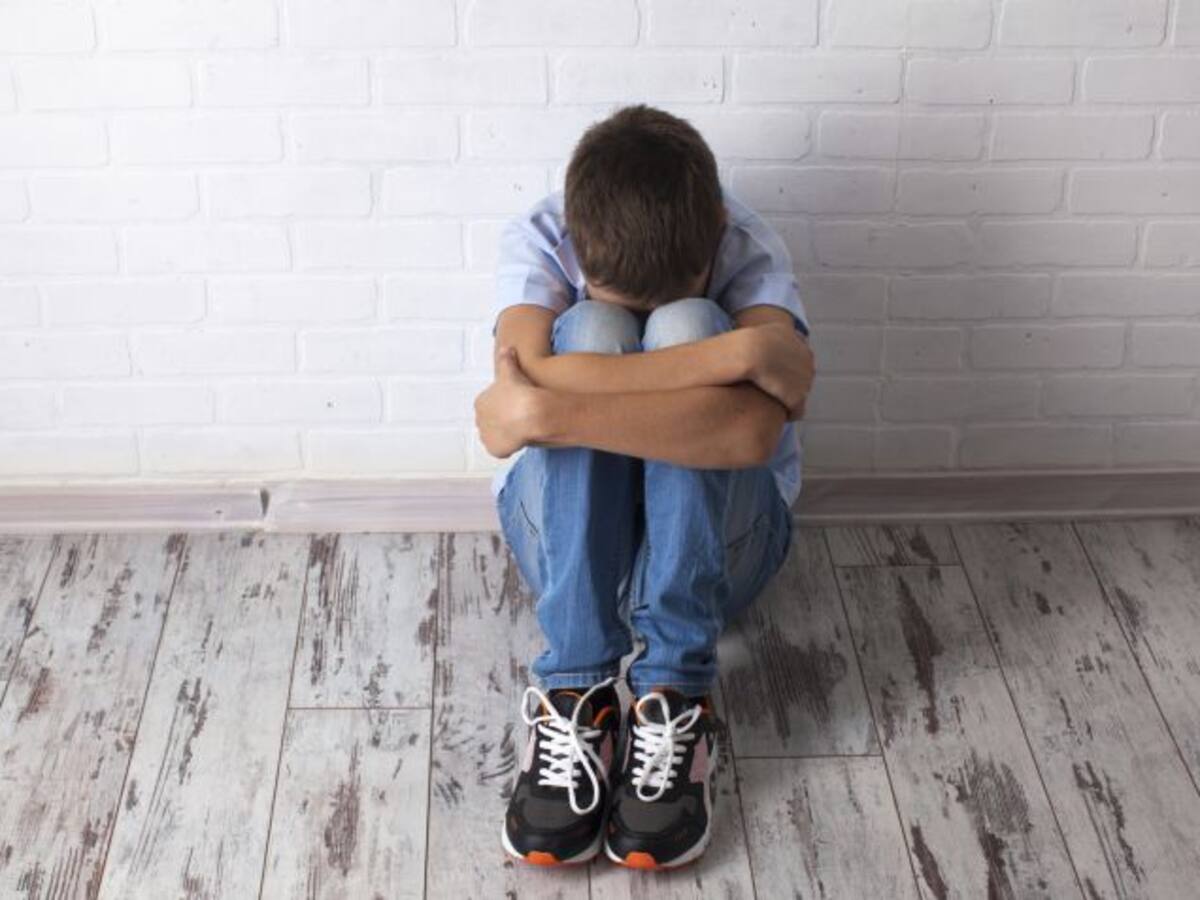 "Ya tenemos unos protocolos contra el acoso escolar que no se ponen en práctica"