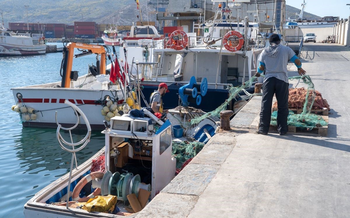 Pescadores faenando