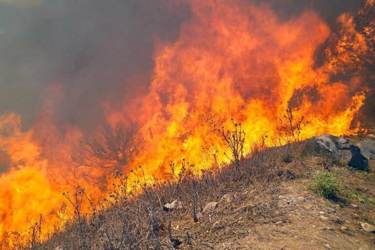 La masa combustible se está secando