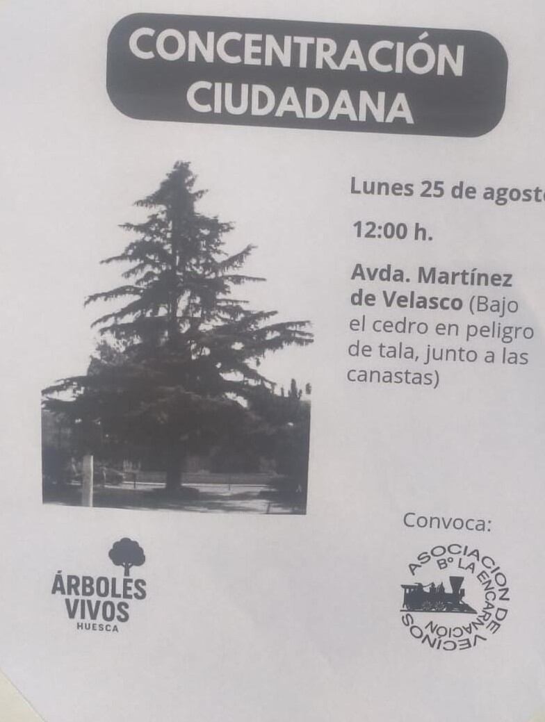 Cartel con la convocatoria de la concentración