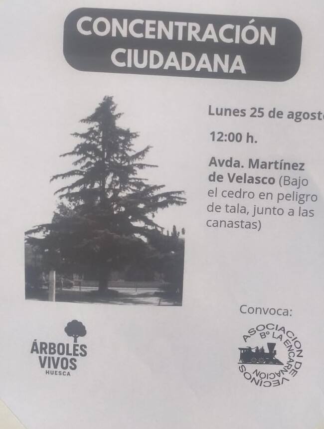 Cartel con la convocatoria de la concentración