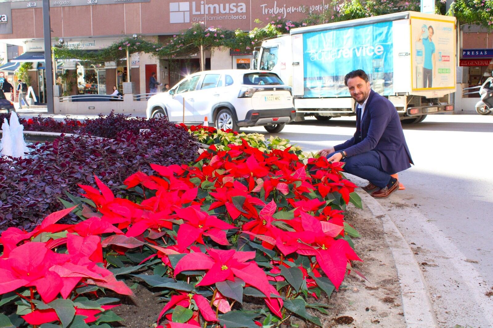 La Plaza del Óvalo de Lorca que se ha teñido de rojo y dorado con unas 500 Flores de Pascua.