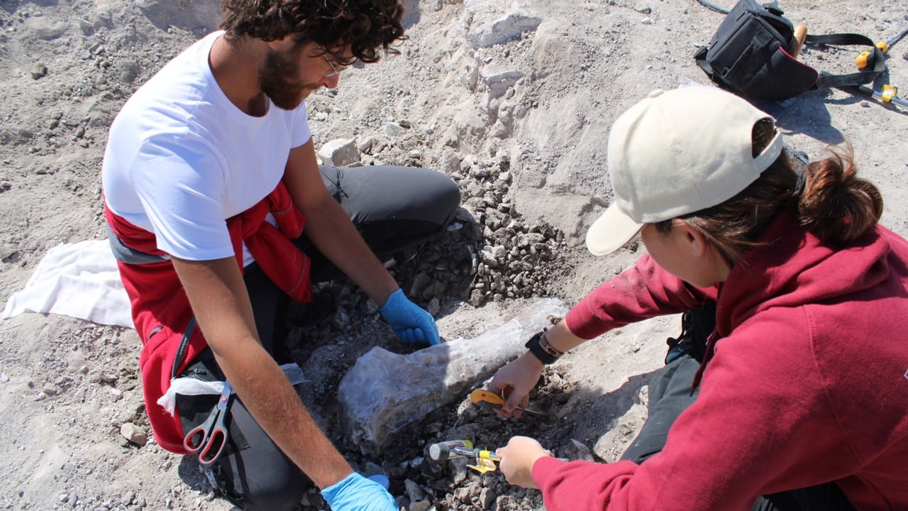 Imágenes del proceso de excavación en el polígono La Atayuela, en Villa de Vallecas