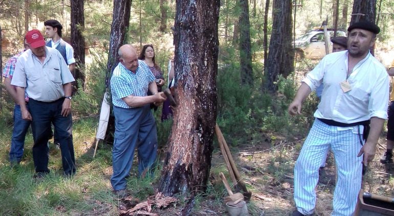 Félix Muñoz preparando un pino para el resinado en la XII Maderada del Río Guadiela celebrada el sábado 23 de junio de 2018 junto al embalse de Chincha en Puente de Vadillos, Cañizares (Cuenca).