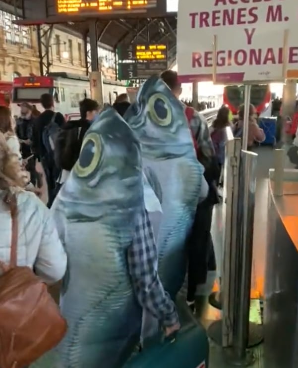 Usuarios de la Plataforma de l&#039;Alcoià-Comtat pel manteniment i millora de la línea València-Xàtiva-Alcoi se disfrazan de sardinas para protestar contra la masificación del tren.