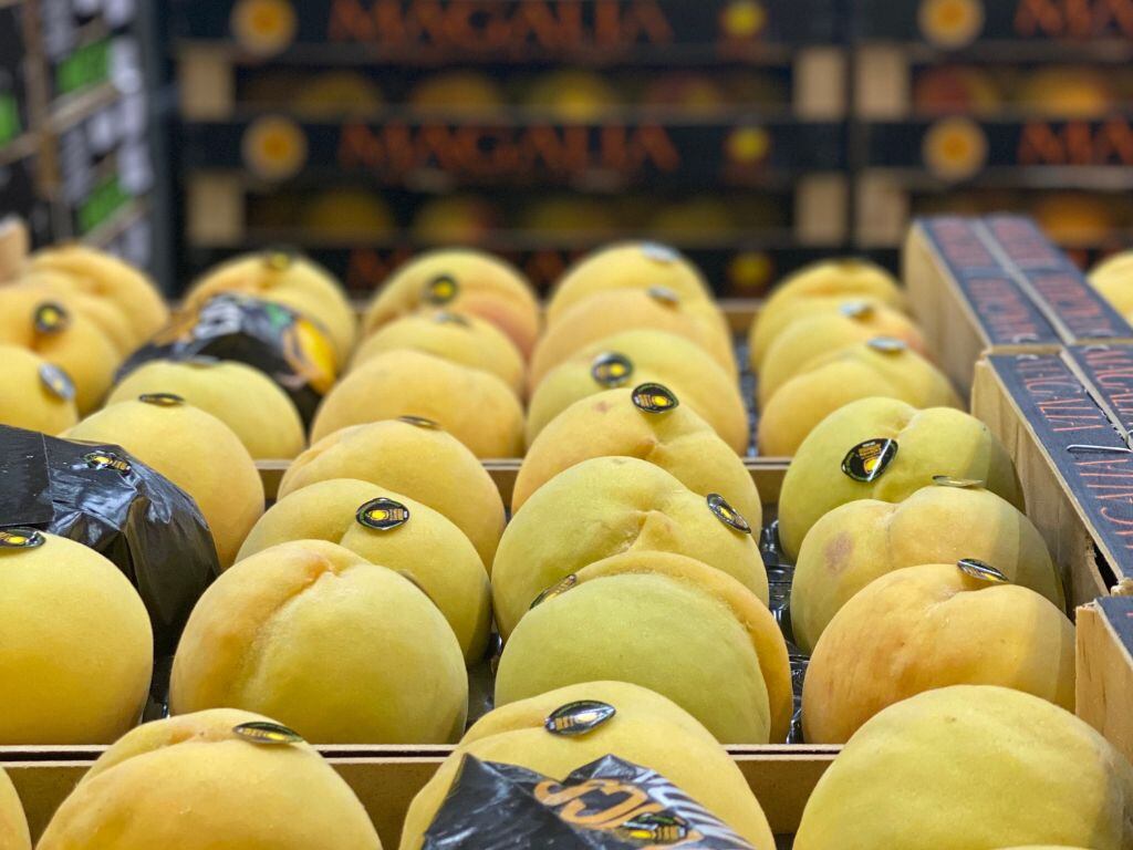 El melocotón de Calanda se cultiva en varias localidades pertenecientes o cercanas a la comarca del Bajo Aragón.