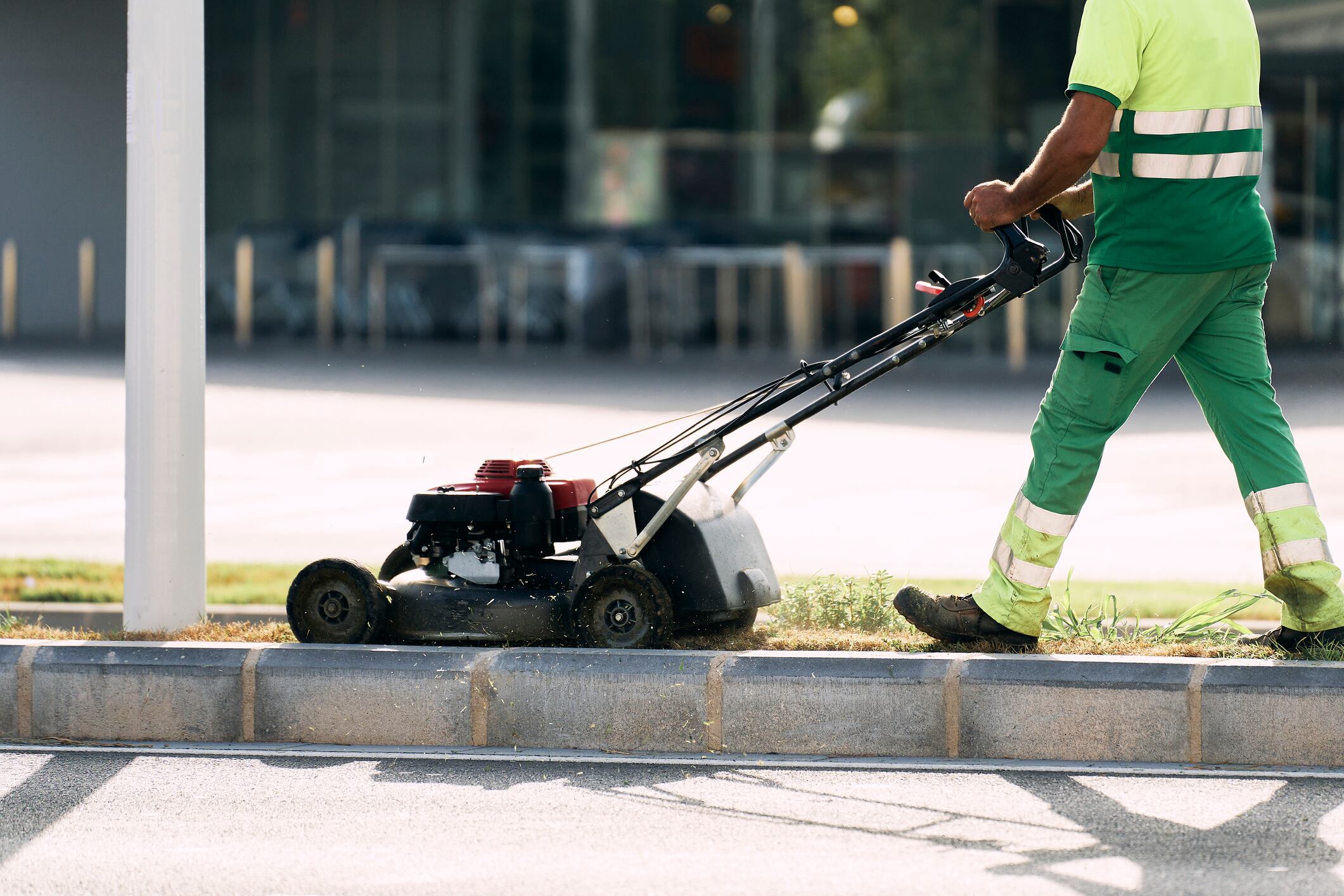 El Comité de Empresa del Ayuntamiento de Palencia denuncia la situación de los jardines de la ciudad