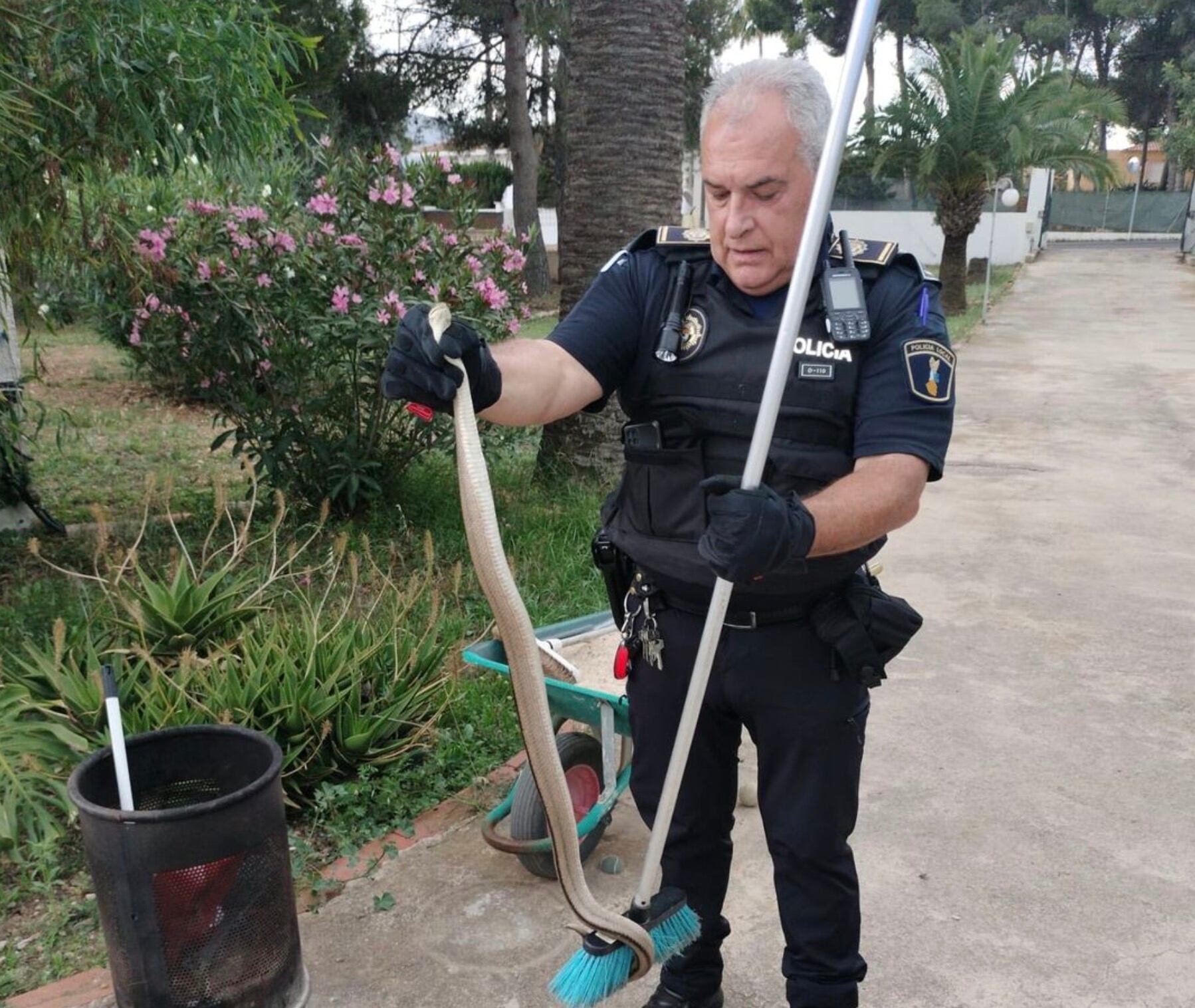 El agente de la Policía Local con la serpiente capturada en l&#039;Alfàs del Pi