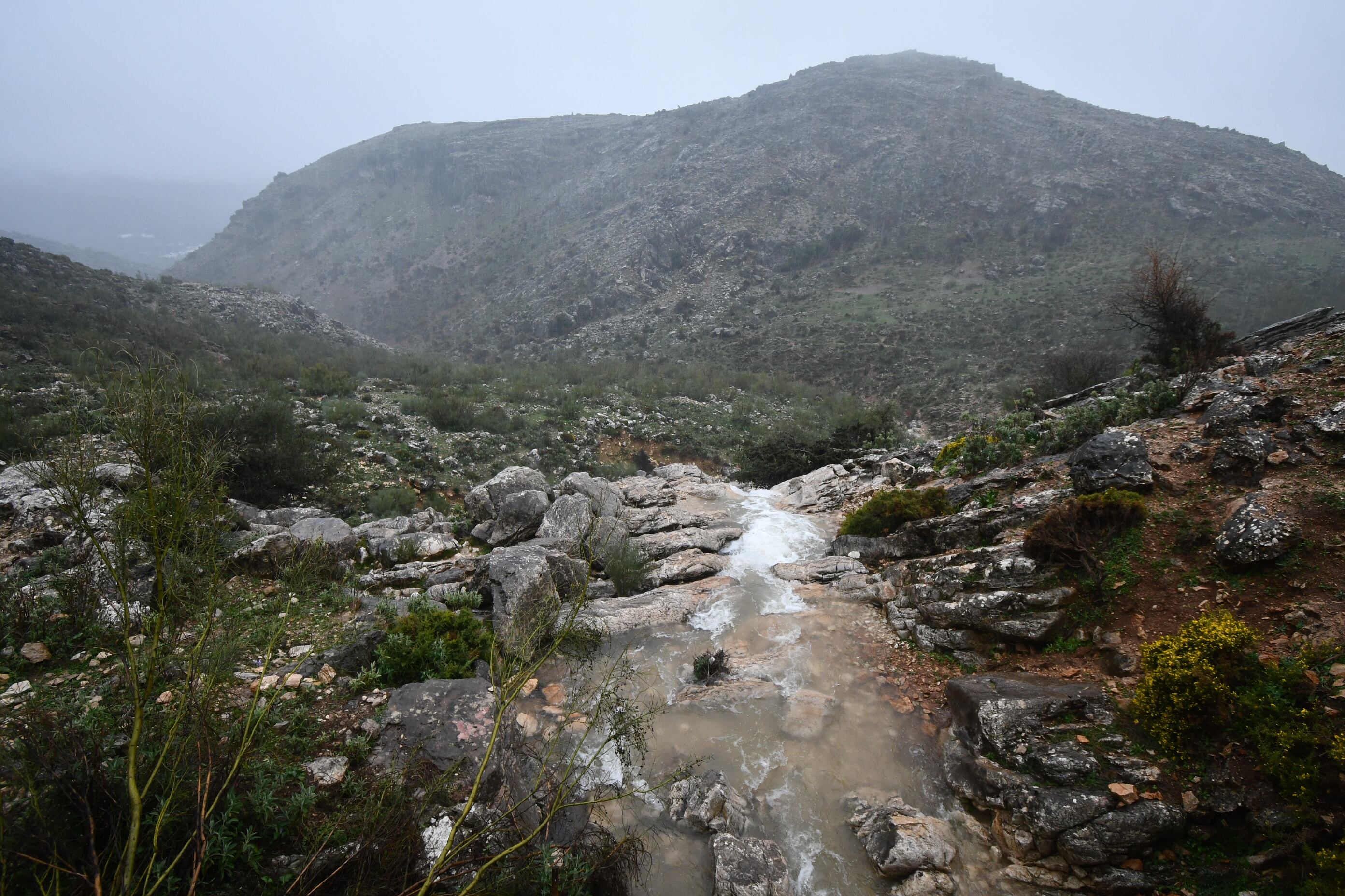 El Arroyo de Bolones une más abajo sus aguas a las del Arroyo de Almargen, el de Algorma y el de los Granados, para finalmente desembocar en el curso alto del Río Genal