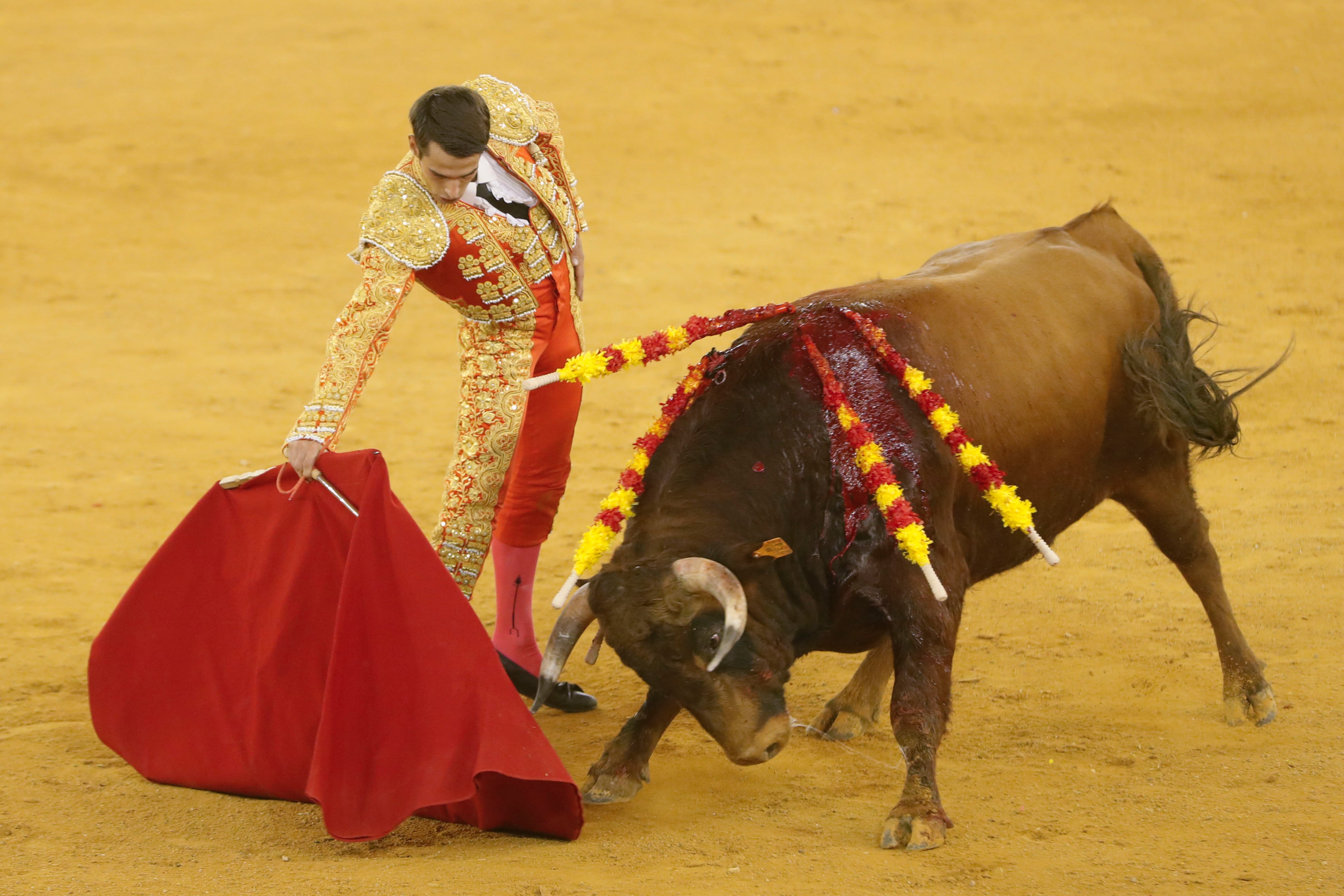 ZARAGOZA, 10/10/2022.- El diestro Javier Poley da un pase durante el festejo taurino de la Feria del Pilar celebrado hoy lunes en la plaza de toros de La Misericordia en Zaragoza. EFE/Javier Cebollada
