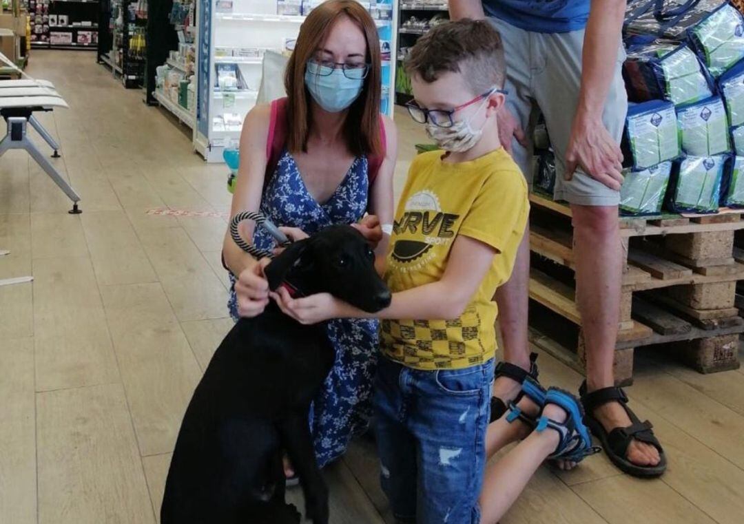 Onda consigue una nueva familia a 71 mascotas abandonadas durante el último año