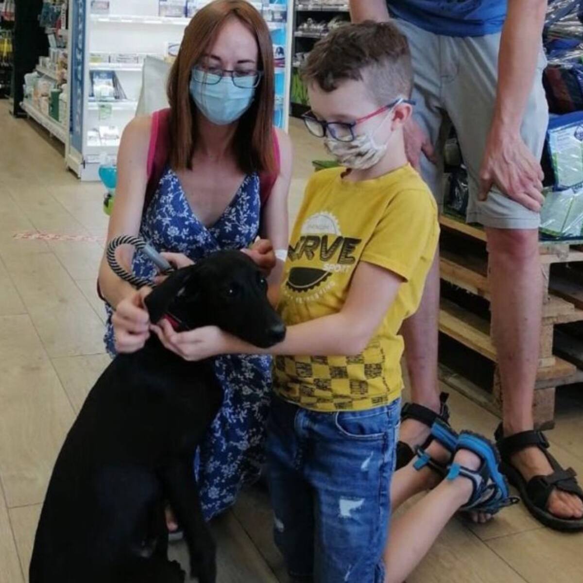 Onda consigue una nueva familia a 71 mascotas abandonadas durante el último año