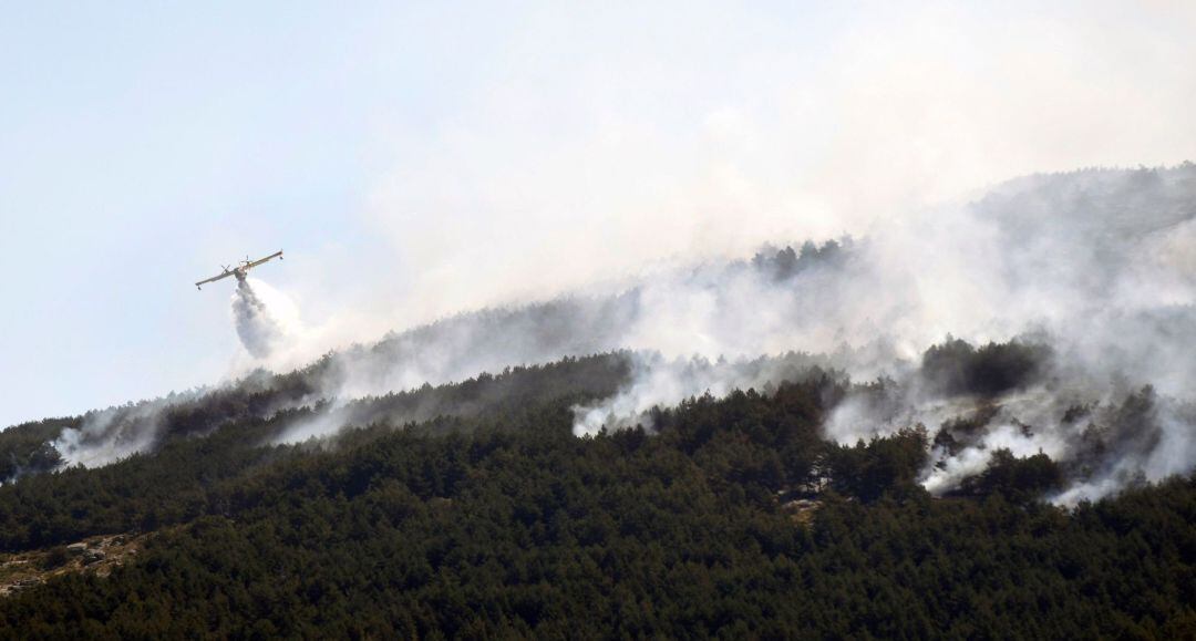  El incendio que afecta al Real Sitio de San Ildefonso-La Granja (Segovia) ha alcanzado &quot;alguna hectárea&quot; en la Comunidad de Madrid y, aunque la evolución es favorable, cinco helicópteros y mas de cien bomberos, agentes y brigadas forestales trabajan para controlar el fuego.En la zona hay además 14 dotaciones terrestres de bomberos, agentes forestales y brigadas forestales. Son más de un centenar de efectivos que trabajan en colaboración con los medios de Castilla y León y la Unidad Militar de Emergencias.