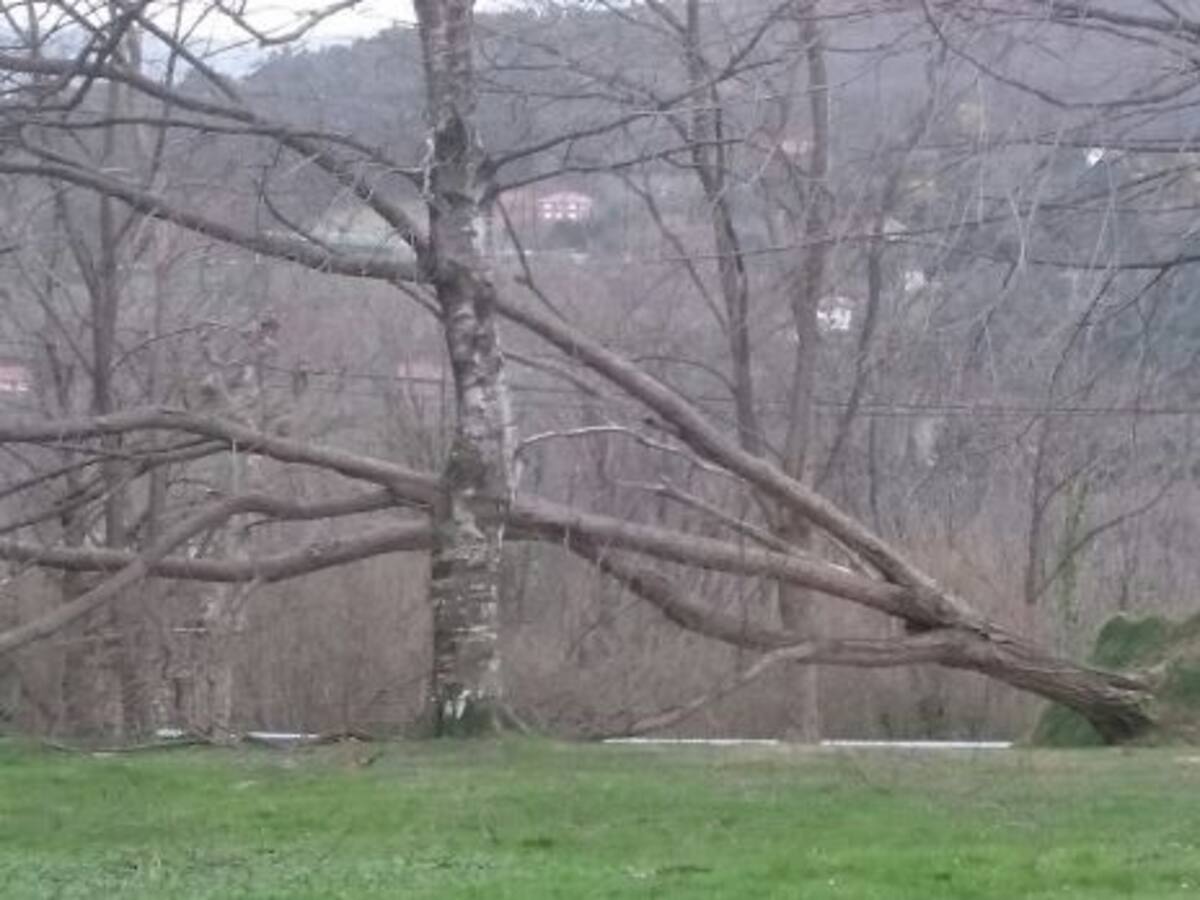 Artxanda también sufre los estragos del viento