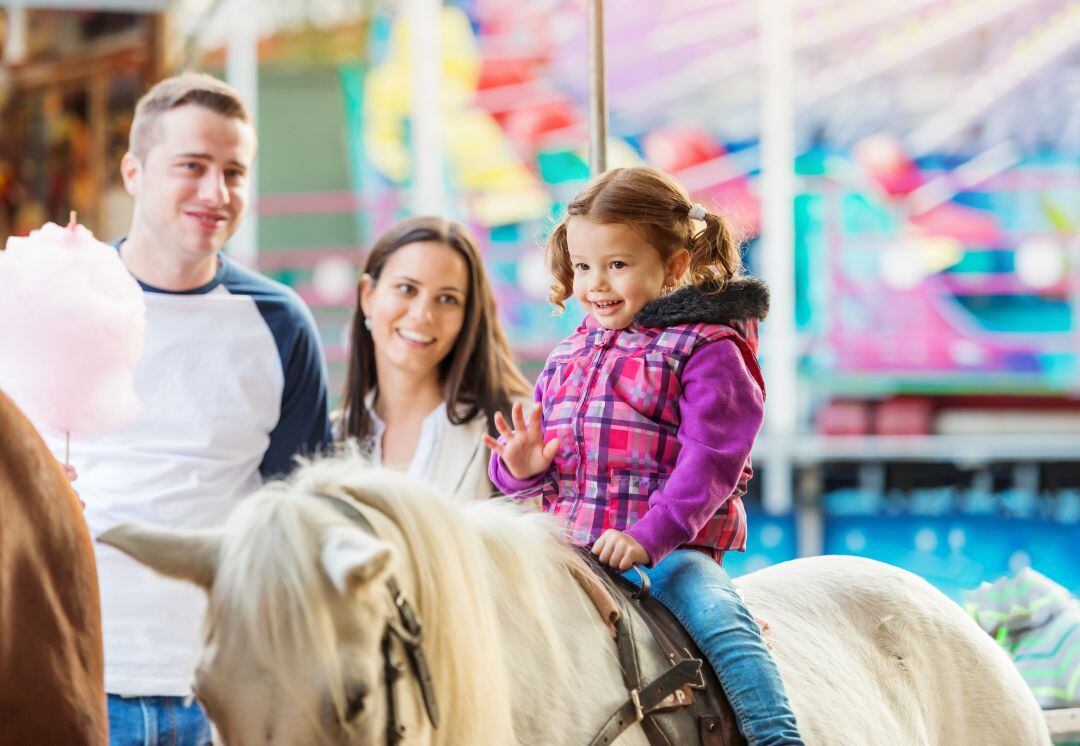 La ley de bienestar animal prohibirá la participación de especies de fauna silvestre en circos y fiestas populares o el empleo de animales atados en atracciones de feria