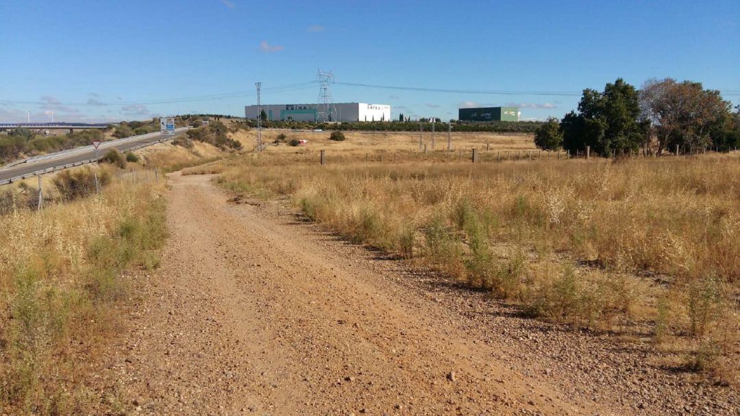 El solar de titularidad municipal sobre el que se construirá el Centro de Transportes