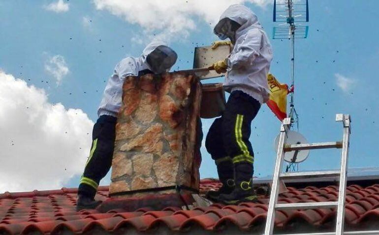 Los bomberos de Aranda intervienen para trasladar un enjambre alojado en una vivienda hasta un lugar más adecuado