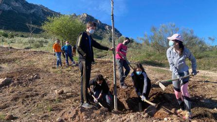 Alumnos y alumnas del IES Juan López Morillas en las tareas de plantación de uno de los árboles