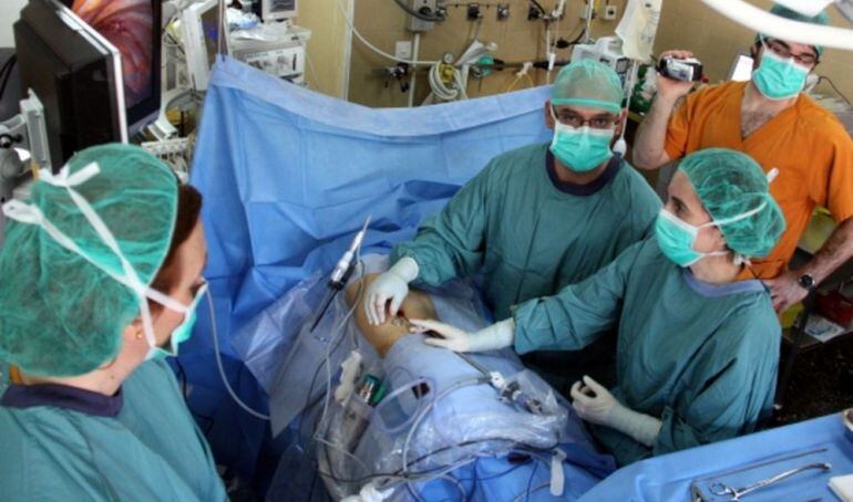 Calen més donants de pell, còrnia i vasos sanguinis.