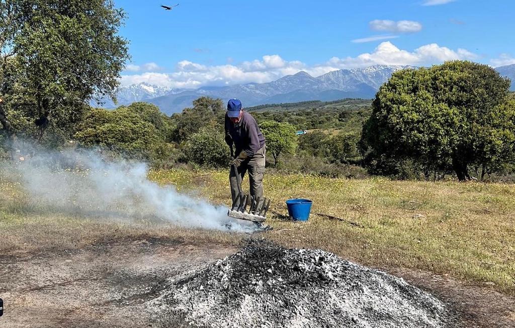 Entre las 15.00 y las 18.00 horas quedará prohibido el uso de cualquier tipo de maquinaria que pueda causar chispas o deflagraciones con el IPP señalando riesgo "muy alto". Foto: Ariadna Burgos.