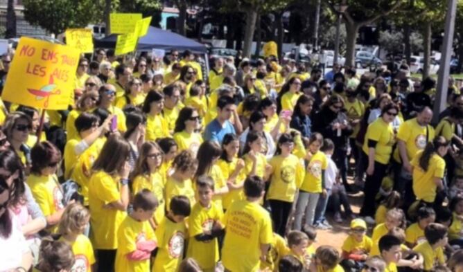 Marea groga al Baix Empordà contra la llei Wert i les retallades en ensenyament