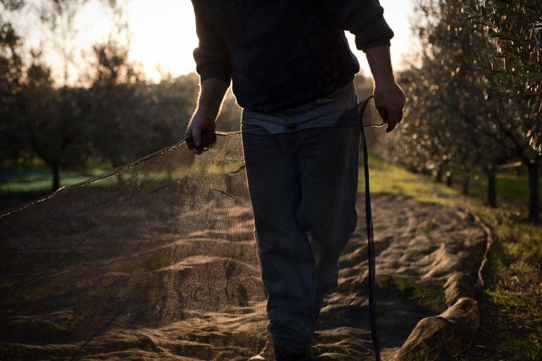 Solo baja el paro en agricultura en Tarancón en el último mes de 2017