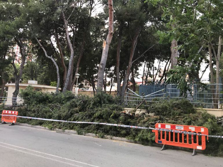 Los bomberos han cortado las ramas afectadas