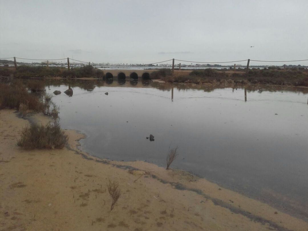 Imagen de la zona de s&#039;Estany des Peix