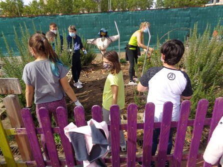 Los escolares acuden por turnos al huerto que alberga el patio del colegio