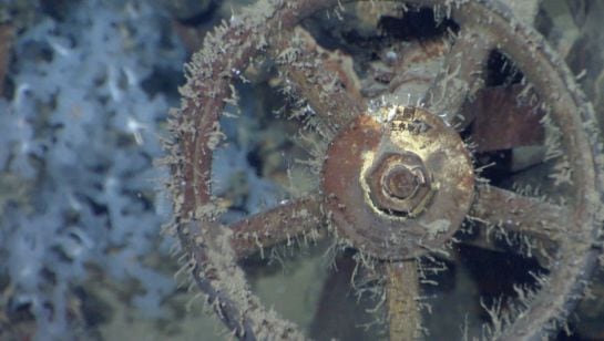 In this photo taken on March 2, 2015 and downloaded from Paulallen.com website on March 4, 2015, shows a wheel on a valve believed to be from a lower engineering area of World War II battleship Musashi after it was found in Sibuyan sea by Paul Aleen's res