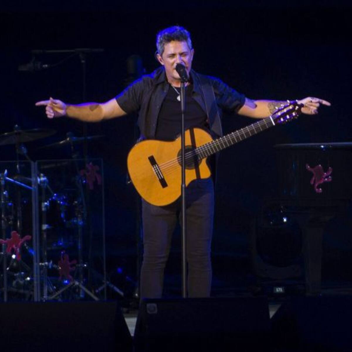 Córdoba vibró con Alejandro Sanz
