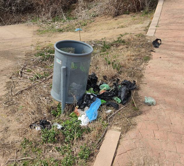 Situación de la papelera antes de su limpieza