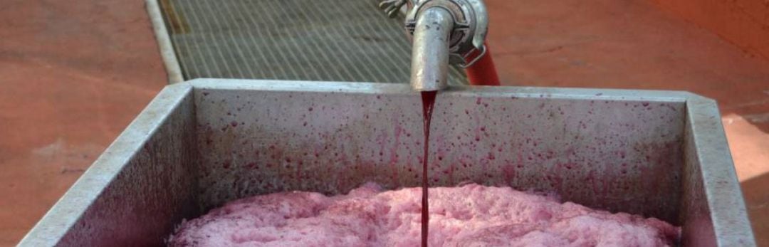 Proceso de elaboración de vino 