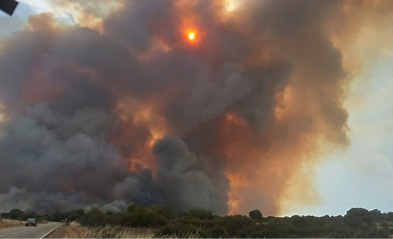 Llamas del incendio de Losacio