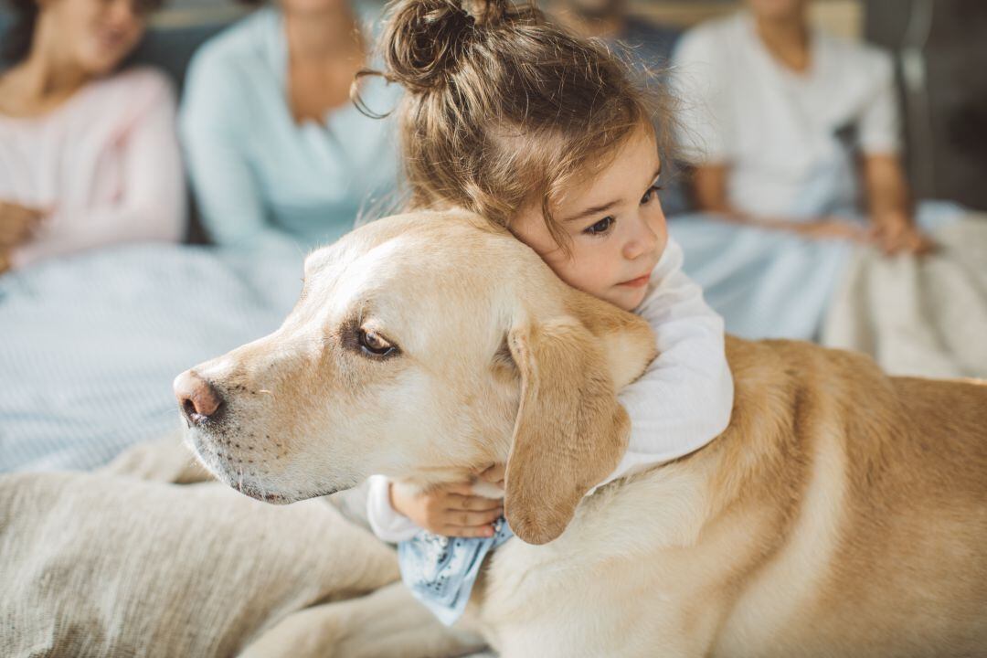 Si pedimos al perro que nos dé la zapatilla, ¿cómo distinguirá el objeto correcto?