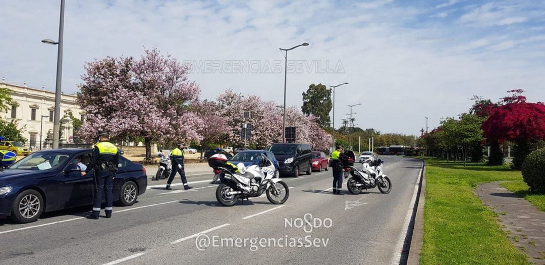 Control de vehículos de la Policía Local de Sevilla