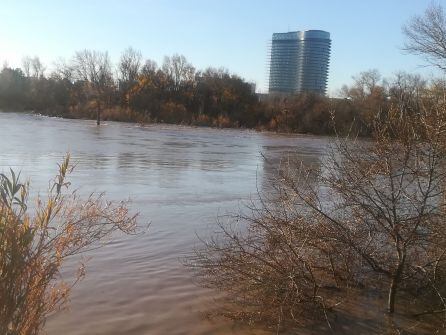 El Ebro esta mañana a la altura de Ranillas