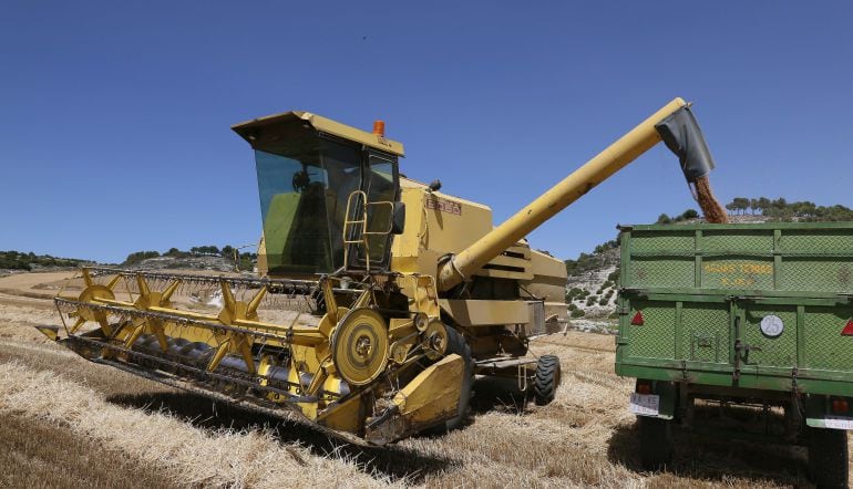 Una cosechadora en la zona de Castroverde de Campos