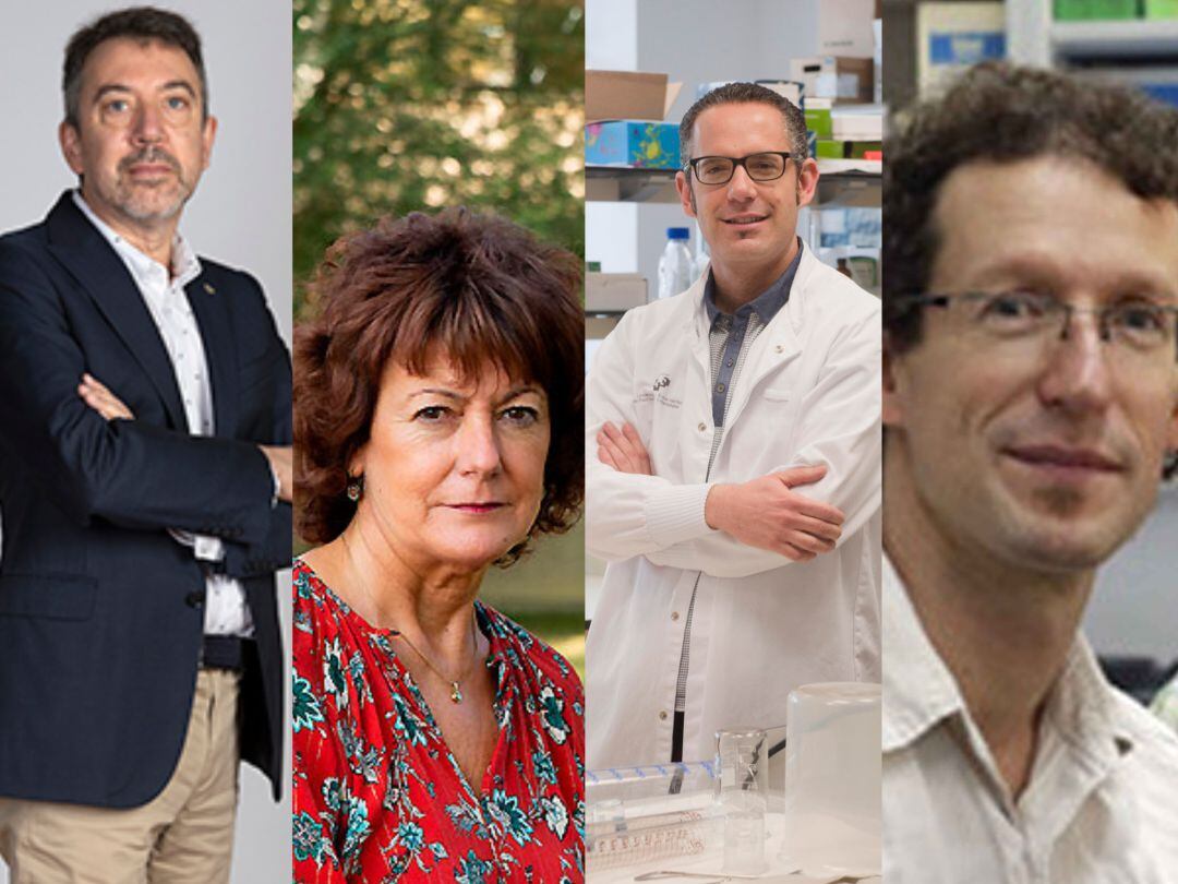 De izquierda a derecha: Guillermo Quindós, Miren Basaras, Gorka Orive y Ugo Mayor