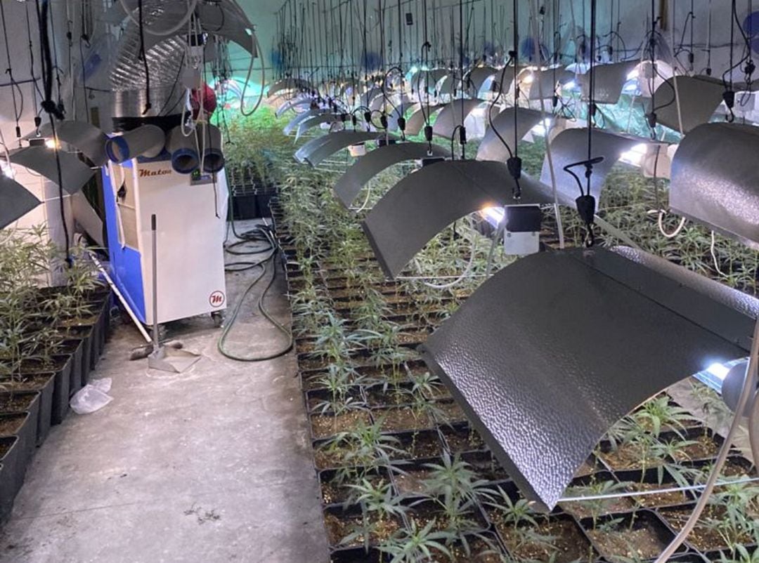 El lugar exacto resultó ser una nave industrial, en cuyo interior había una estructura fabricada con pladur y materiales aislantes, tras la que se ocultaban 1.100 plantas de cannabis