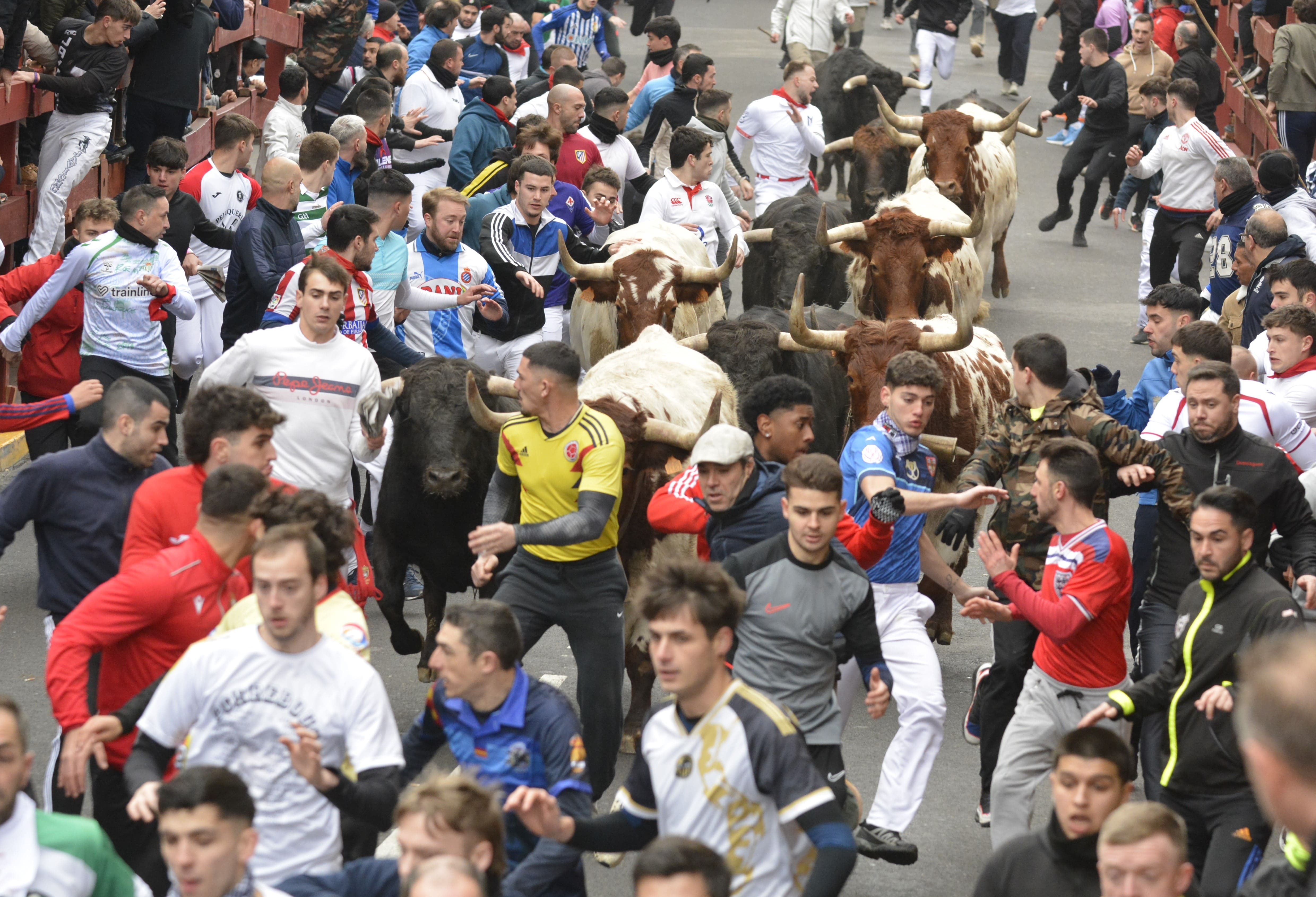 Encierros Blancos San Sebastián de los Reyes