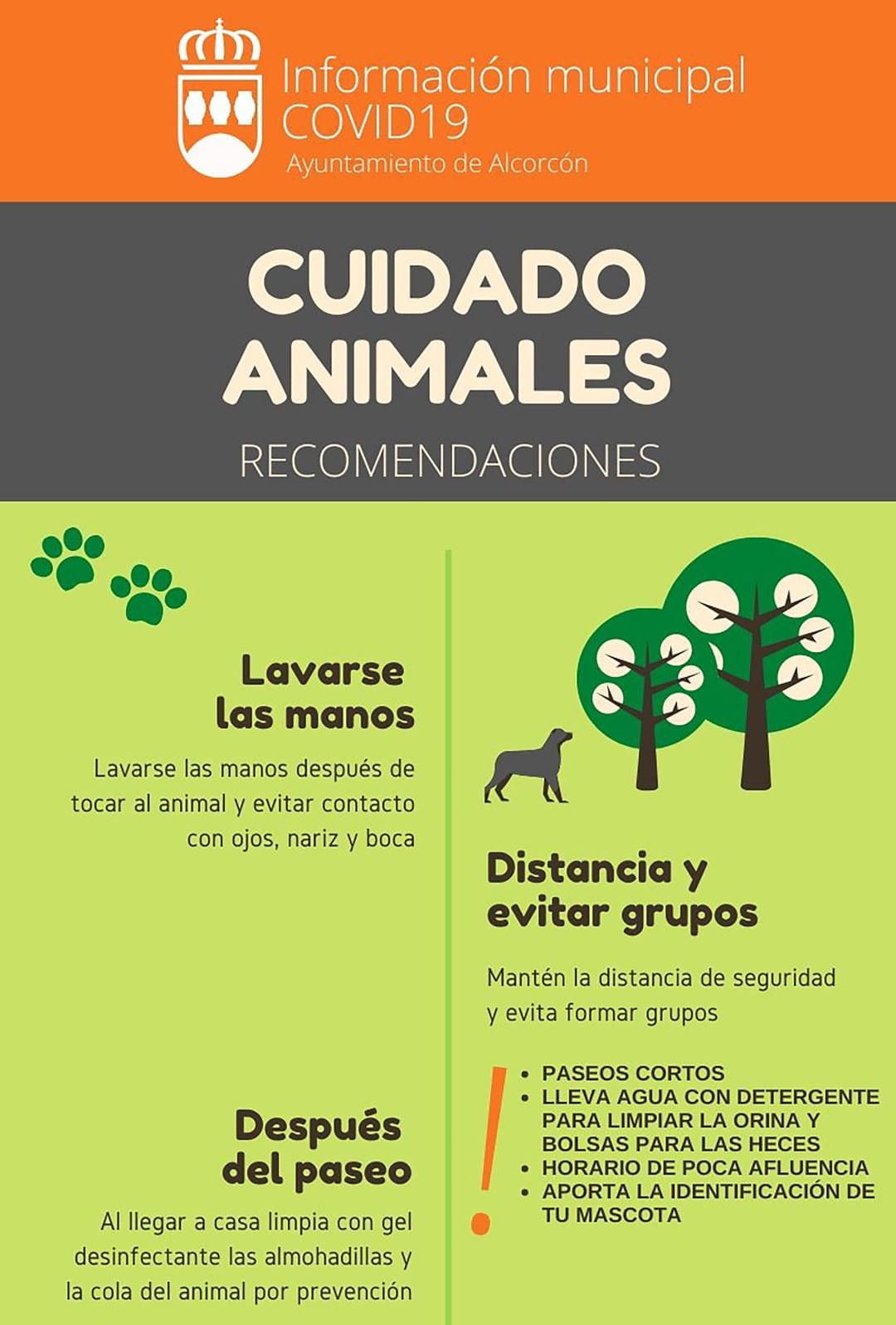 Recomendaciones para el cuidado de las mascotas durante la crisis sanitaria