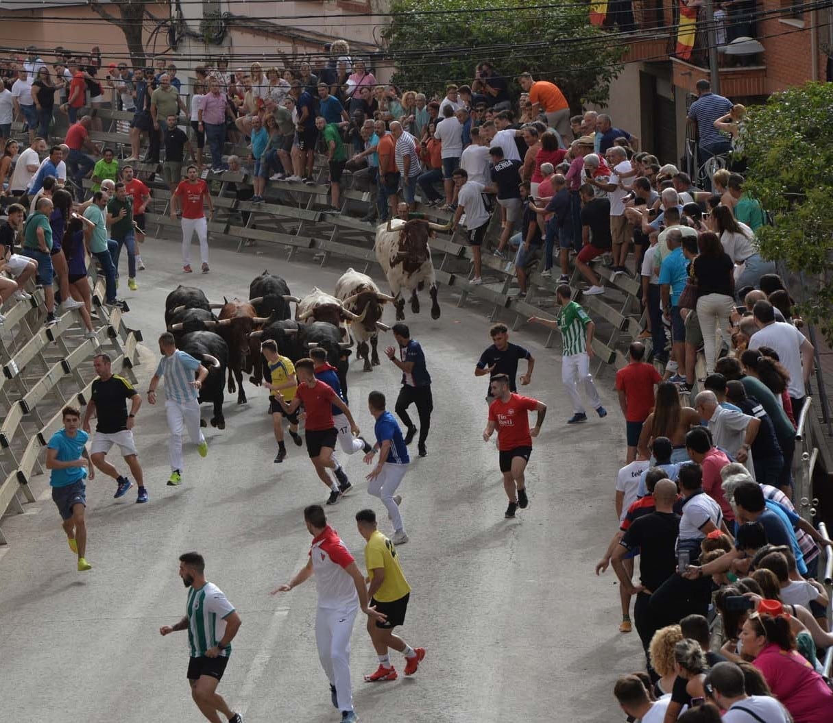 Momento del primer Encierro de las Fiestas de Calasparra