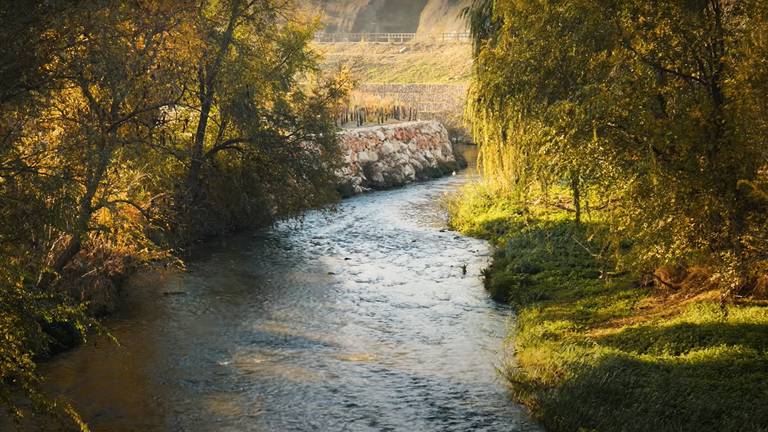 Imagen del río Manzanares a su paso por el barrio getafense de Perales del Río.