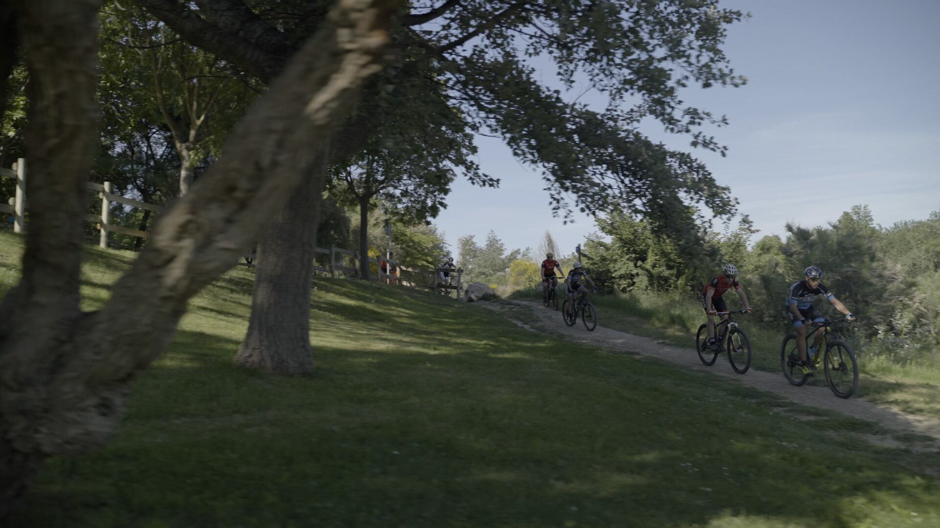 Biciclistas pasean por una ruta en la Ribera de Navarra