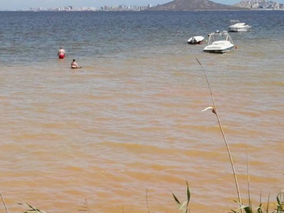El PSOE pide actuaciones "urgentes y creíbles" para frenar el galopante deterioro del Mar Menor